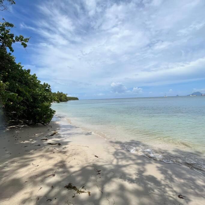Studio La «Kaz' A Coco» Anse Caritan Sainte-Anne Exterior photo